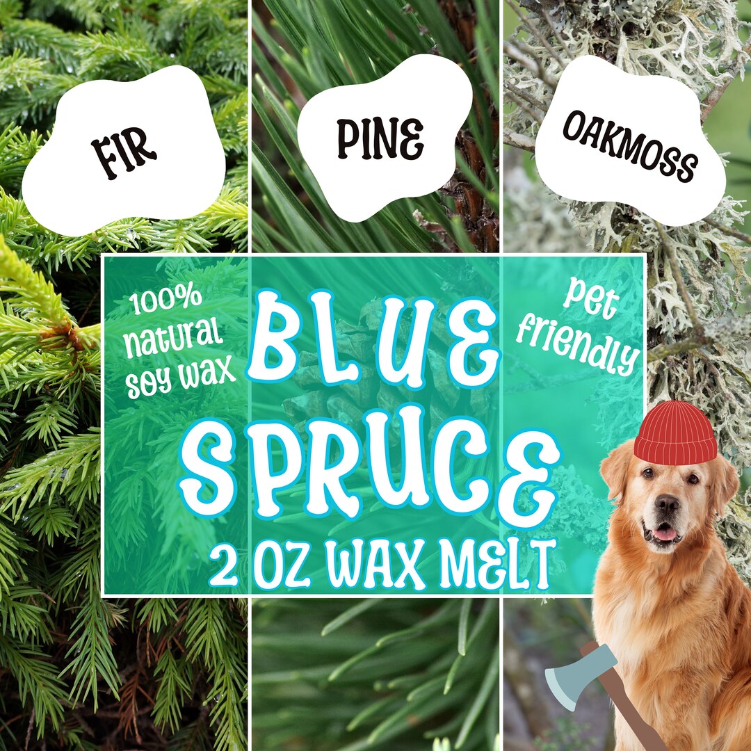 Woody Scented Wax Melt, Pet Safe Toxin Free, 100 Natural Soy Wax