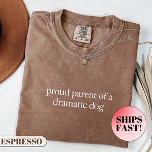 May include: Espresso-colored Comfort Colors t-shirt with the text "proud parent of a dramatic dog" in white. A silver necklace with a pendant is draped on the shirt. The shirt is a size small.