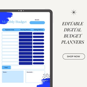 Planificateur budgétaire pour une entreprise pour l&#39;année