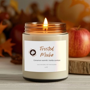 Frosted Mocha Iced Coffee Candle: Cinnamon Vanilla Scent (9 oz)