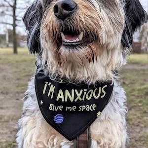 Reactive dog bandana sale