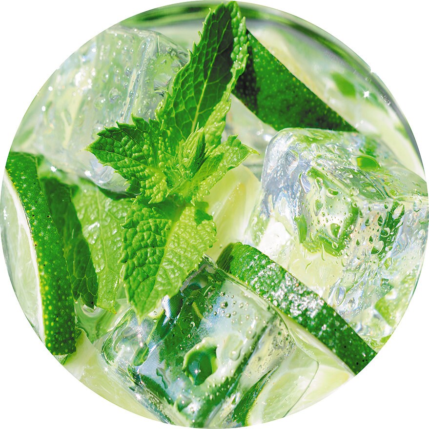 Mojito Vibes: Stylish 19L COOLPAQ Water Dispenser Cover With Refreshing ...
