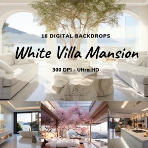 Digitaler Zoom-Hintergrund, 16 virtuelle weiße Villa-Hintergrund, Microsoft Teams, Office, Zoom-Meeting, Arbeit von zu Hause aus, Sofortiger Download, Teams