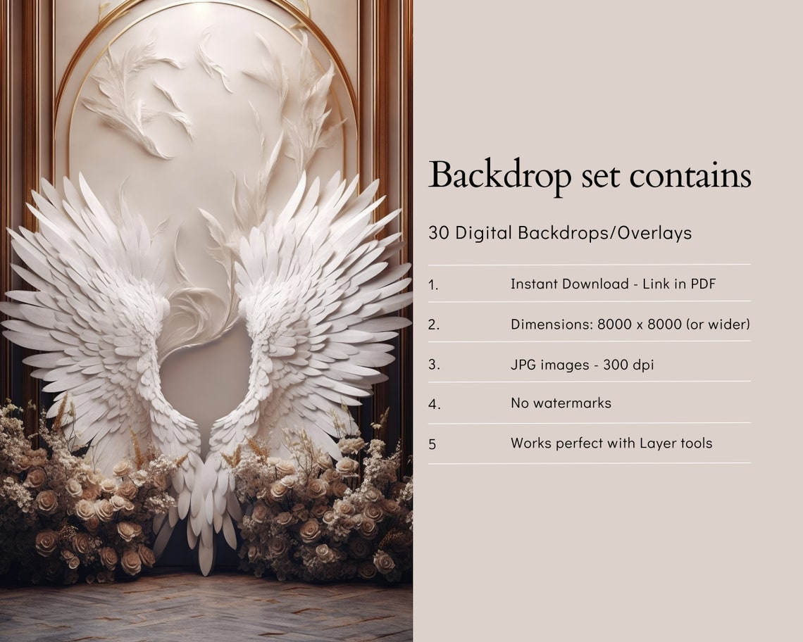 Elegant Angel Wings Digital Backdrops, 30 White Angel Wing Maternity ...