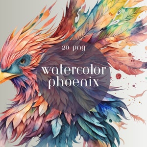Paquete de imágenes prediseñadas de Acuarela Phoenix, estas imágenes de Fantasy Phoenix son para uso comercial, descarga digital instantánea en formato PNG y transparente