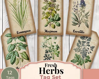 Fresh Herb Identification Journal Tags - Collage Scrapbook - Forest Animal Tags -  Ephemera Labels - Junk Journal Images - Clip Art