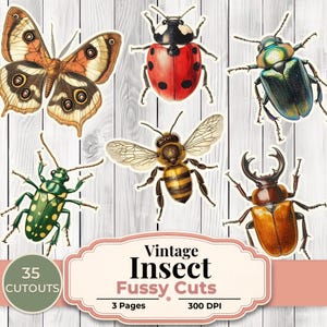 Puede incluir: Conjunto de recortes de insectos vintage, que incluyen una mariposa, una mariquita, una abeja y escarabajos. Los insectos son de varios colores. La imagen también incluye el texto "Vintage Insect Fussy Cuts".