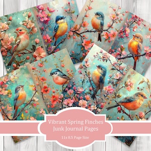 Vibrant Spring Finches -  Journal Paper Set, Junk Journal Pages, Flower, Journal Paper, Printable Journal, Scrapbook Paper, Digital Paper
