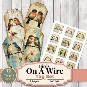 May include: A tag set featuring vintage-style illustrations of birds perched on wires. The set includes tags and labels with a distressed, aged aesthetic. The text "Birds On A Wire Tag Set" is displayed prominently. The set includes 12 tags and labels.