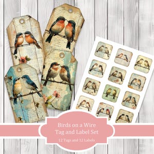 Vogels op een draad tag en labelset - collage plakboek - patchwork-tags - ephemera-labels - illustraties ongewenste dagboekafbeeldingen - kieskeurig knippen