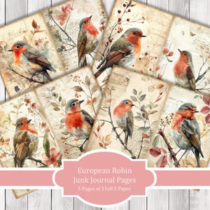 European Robin - Junk Journal Pages, Journal Paper Set, Bird Junk Journal Paper, Printable Journal, Scrapbook Paper, Digital Paper