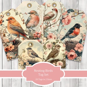 Etichette per diario di uccelli nidificanti - Album di collage - Etichette per animali della foresta - Etichette effimere - Immagini di diario spazzatura - Clip art