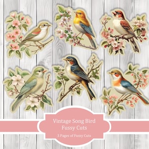 Vintage Songbird Fussy Cuts -  Junk Journal , Printable Journal, Junk Journal Tags, Junk Journal Ephemera