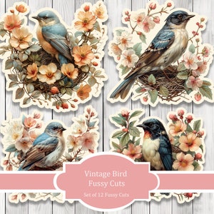 Vintage Bird Fussy Cuts - Diário de Lixo, Diário para Imprimir, Etiquetas de Diário de Lixo, Artigos Efêmeros de Diário de Lixo