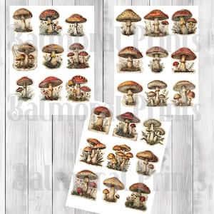 May include: A collection of vintage-style mushroom stickers in various sizes and shapes. The stickers feature detailed illustrations of different mushroom varieties, with brown, red, and beige caps. Some stickers include grass and foliage.