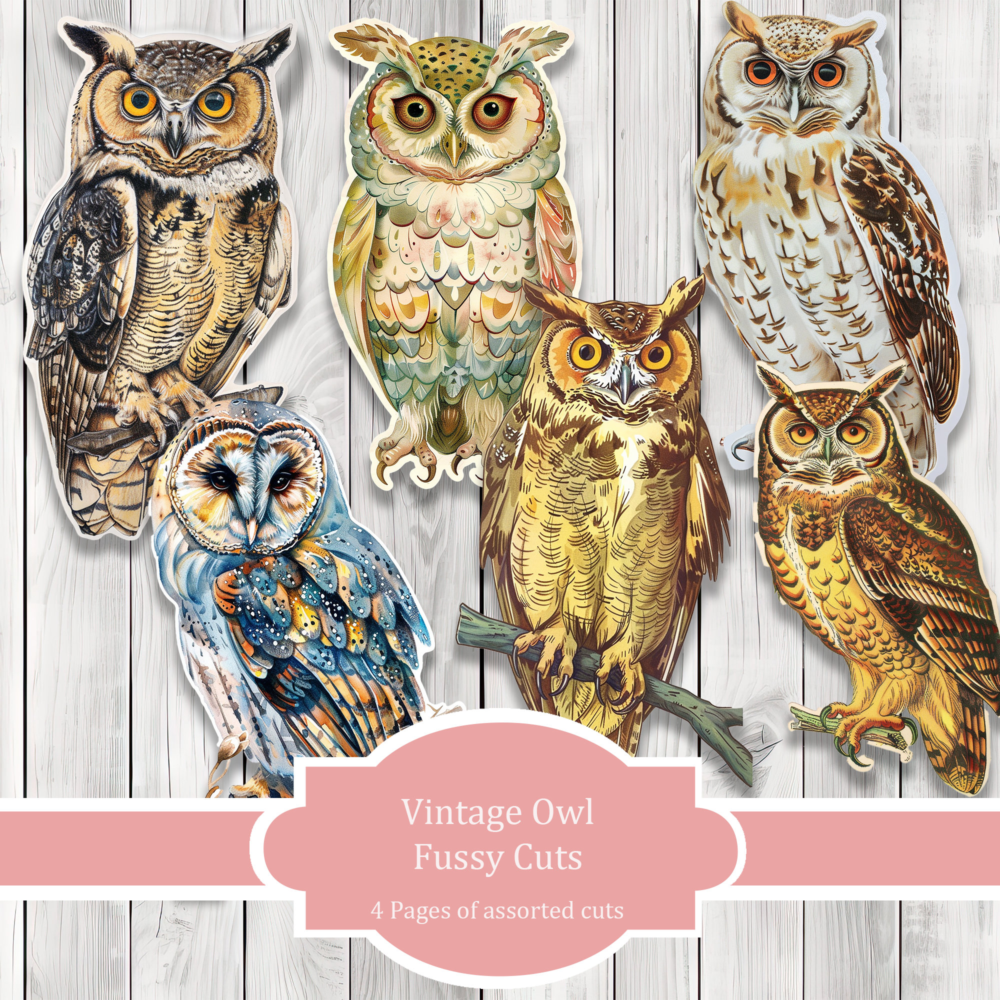 Vintage Owl Fussy Cuts -  Junk Journal , Printable Journal, Junk Journal Tags, Junk Journal Ephemera