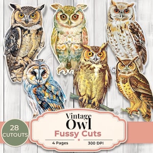 May include: A selection of vintage owl cutouts in shades of brown, beige, and blue. The image shows six different owl designs, with a label reading "Vintage Owl Fussy Cuts". The cutouts are set against a white wooden backdrop.