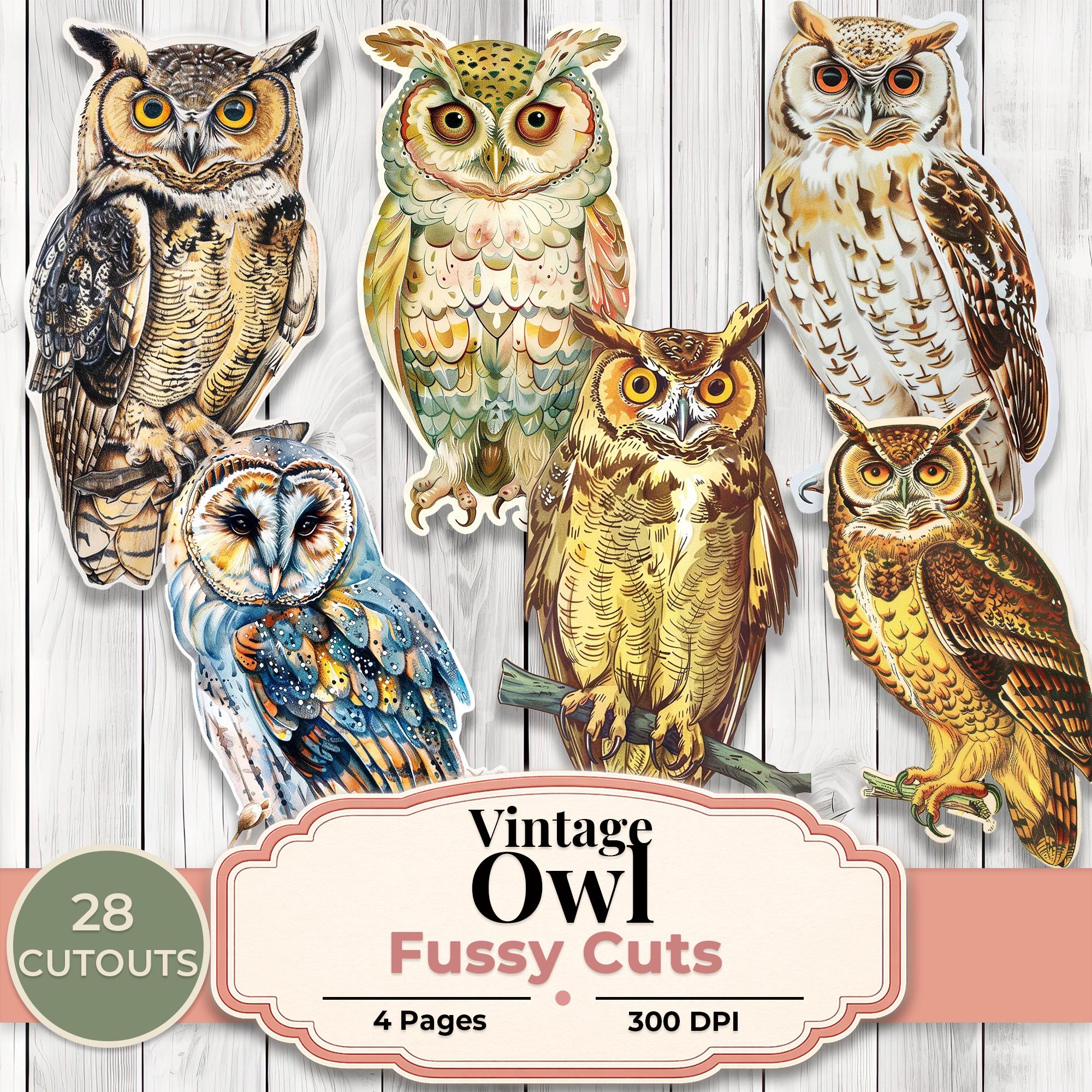 Vintage Owl Fussy Cuts, Owl Ephemera, Junk Journal Birds, Printable Owl Cutouts, Woodland Journal El