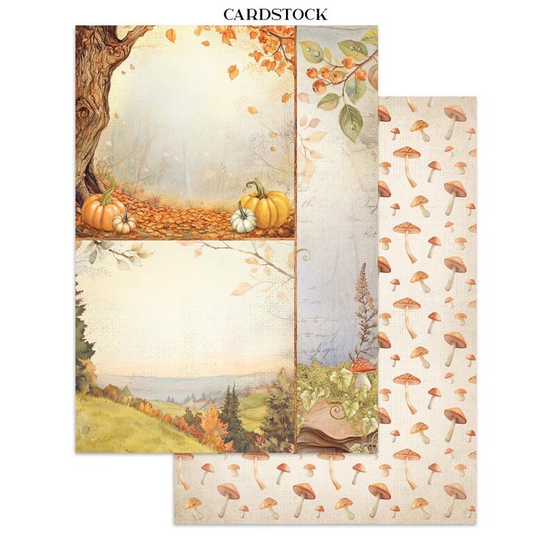 Stickers Et Découpes Stamperia - Collection "The Owl's House" Pour Scrapbooking, Journaling, Cartes - Papier Rice Et Embellissements - 5