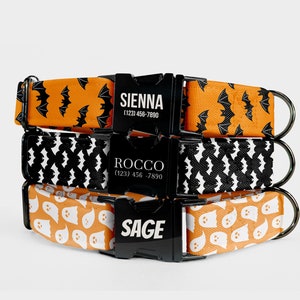 Laser Engraved Dog Collar: Custom Halloween Pet Collar