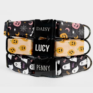 Halloween Dog Collar and Leash – Personalized Pet Collar with Custom Name & Phone Number Engraved, Pumpkin Spiderweb, Water Repellent Fabric