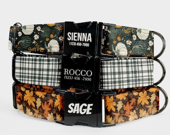 Fall Dog Collar and Leash Set – Personalized Pet Collar with Custom Name Engraved, Pumpkin Plaid Leaf Print, Water Repellent Fabric