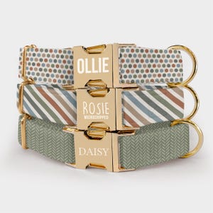 Neutral Dog Collar and Leash – Personalized Pet Collar with Custom Name & Phone Number Engraved, Water Repellent Fabric