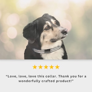 Personalized Dog Collar | Custom Name Engraved Dog Collar | Cottage Core Collar Leash Set | Boho Puppy Collar | Dog Mom Gift | Name ID Tag