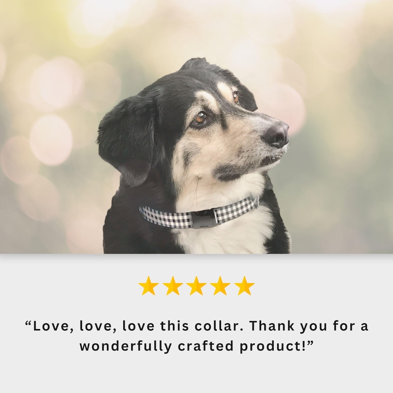 Personalized Dog Collar | Custom Name Engraved Dog Collar | Cottage Core Collar Leash Set | Boho Puppy Collar | Dog Mom Gift | Name ID Tag