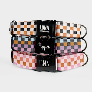 Personalized Laser Engraved Dog Collar: Water Repellent Durable Pet Collar