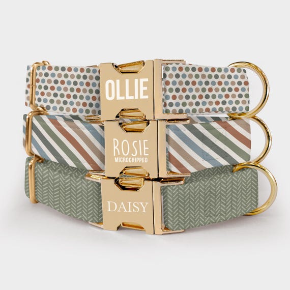 Neutral Dog Collar and Leash – Personalized Pet Collar with Custom Name & Phone Number Engraved, Water Repellent Fabric