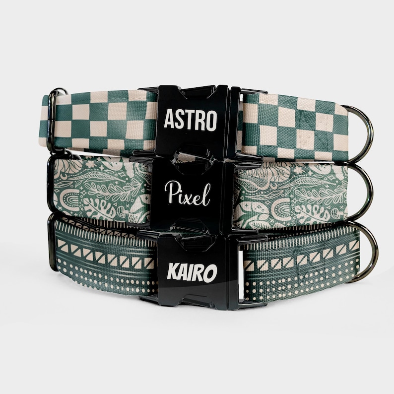Personalized Dog Collar | Custom Name Engraved Dog Collar | Cottage Core Collar Leash Set | Boho Puppy Collar | Dog Mom Gift | Name ID Tag