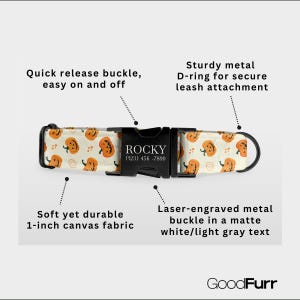Halloween Dog Collar and Leash – Personalized Custom Name & Phone Number Engraved, Pumpkin Ghost Print, Water Repellent Fabric image 2