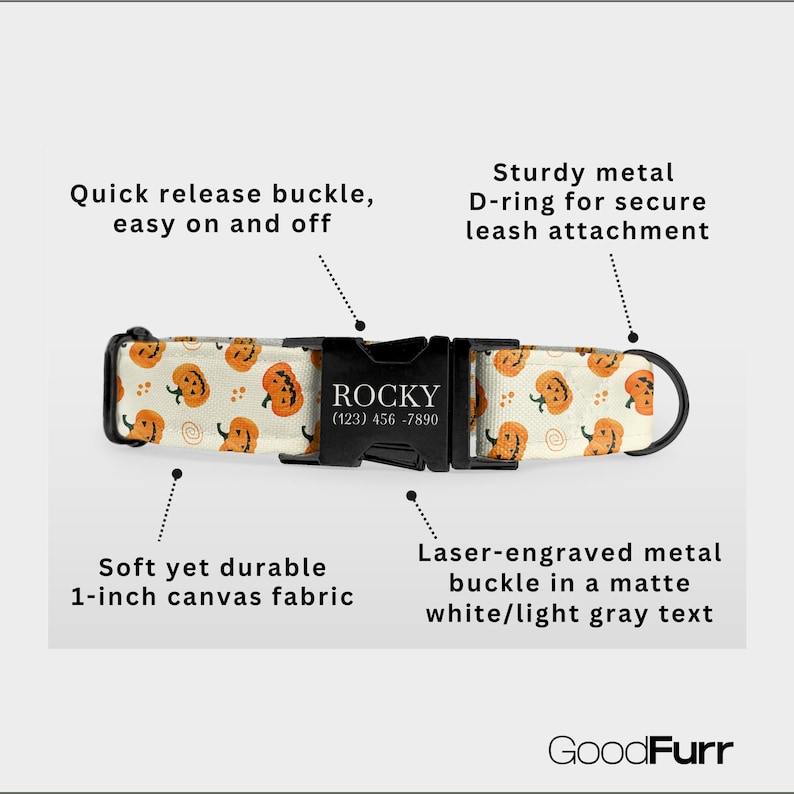 Halloween Dog Collar and Leash – Personalized Custom Name & Phone Number Engraved, Pumpkin Ghost Print, Water Repellent Fabric image 2