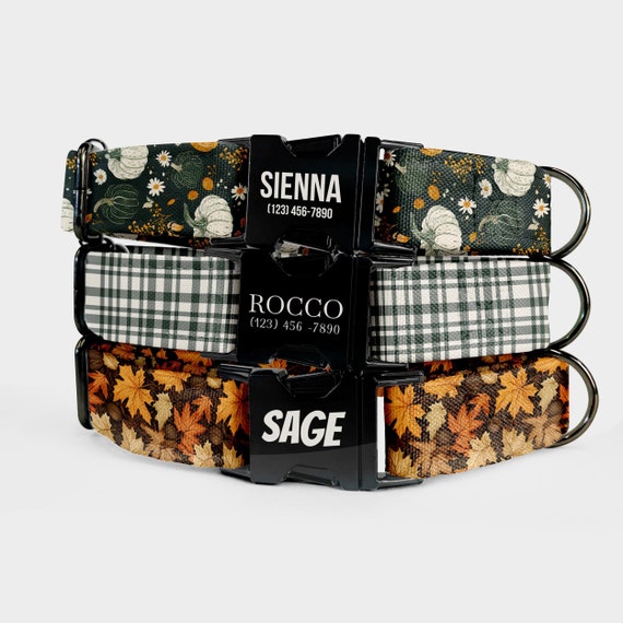 Fall Dog Collar and Leash Set – Personalized Pet Collar with Custom Name Engraved, Pumpkin Plaid Leaf Print, Water Repellent Fabric