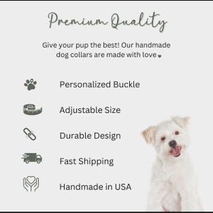 Floral Dog Collar: Custom Engraved, Adjustable Metal Buckle, Dog Lover Gift image 5
