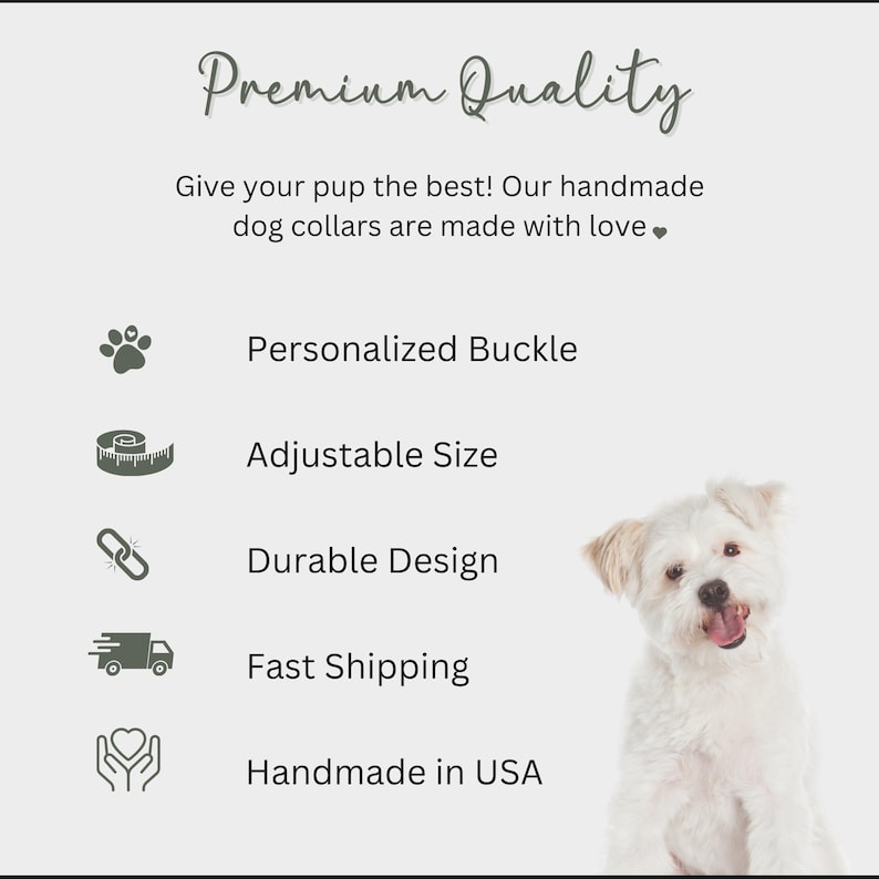 Personalized Dog Collar | Custom Name Engraved Dog Collar | Cottage Core Collar Leash Set | Boho Puppy Collar | Dog Mom Gift | Name ID Tag