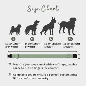 a poster showing how to measure a dog's size