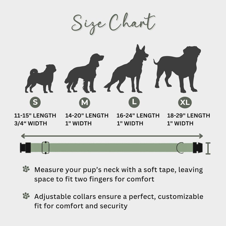 a poster showing how to measure a dog's size