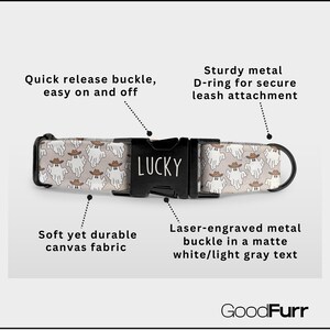 Western Halloween Dog Collar: Engraved Name and Phone Number, Matching Leash image 2