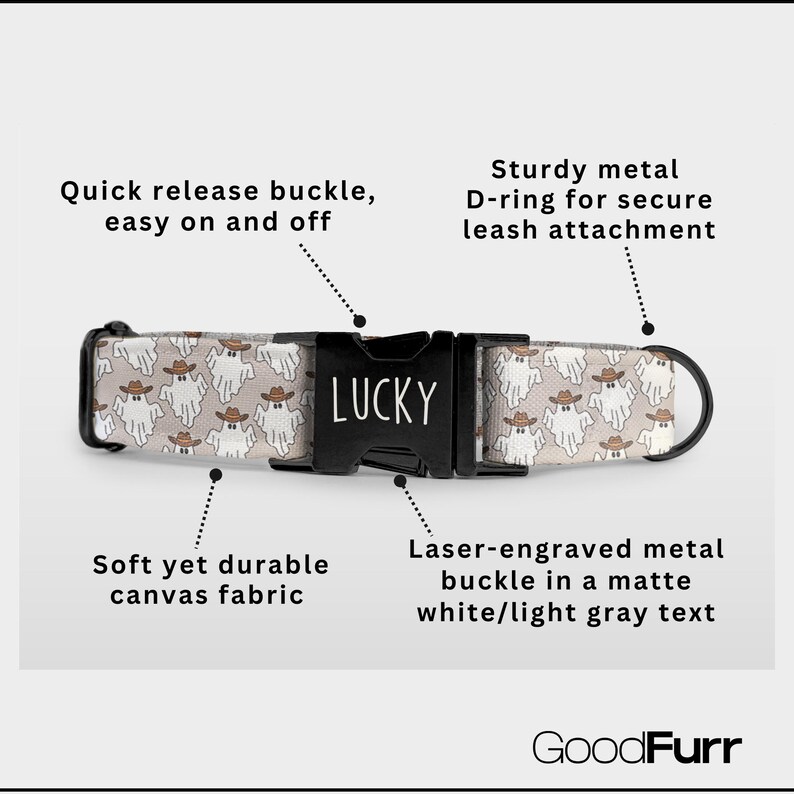 Western Halloween Dog Collar: Engraved Name and Phone Number, Matching Leash image 2