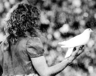 Robert Plant and his Dove, but from behind