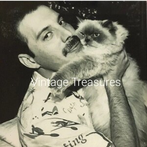 Freddie mercury cat sweatshirt hotsell