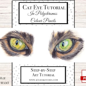 Drawing Tutorial with Polychromos Faber Castell Coloured Pencil of Cat Eyes Realistic Cat Eye Drawing in Colour Pencil Drawing Tutorial