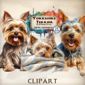 Yorkshire Terrier Clipart Dog Illustraties Bundel voor hondenliefhebbers Leuke Yorkshire Terrier Faces Canine Breed puppy Pet Themed Graphics