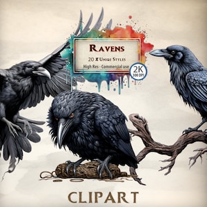 Raven Clipart Pássaro Ilustrações de animais Voando Comer estilo gótico em vôo Corvo escuro Gráficos de cartões Detalhados Scrapbooking Fantasia PNG
