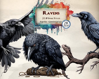 Raven Clipart Bird Animal Illustrations Flying Eating gothic style in flight Dark raven Card Graphics Detailed Scrapbooking Fantasy PNG