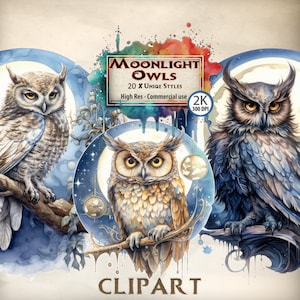 Mond Clipart Eule Clipart Bundle blauer Mondschein Himmel niedliche Eule Clip Art Erwachsene Athena Halbmond und Sterne neue PNG Transparent