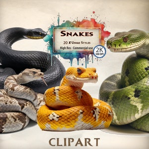 Clipart de cobra cobra cascavel clipart pacote cobra verde decoração animal clipart pacote amantes de cobra presente PNG transparente lixo diário