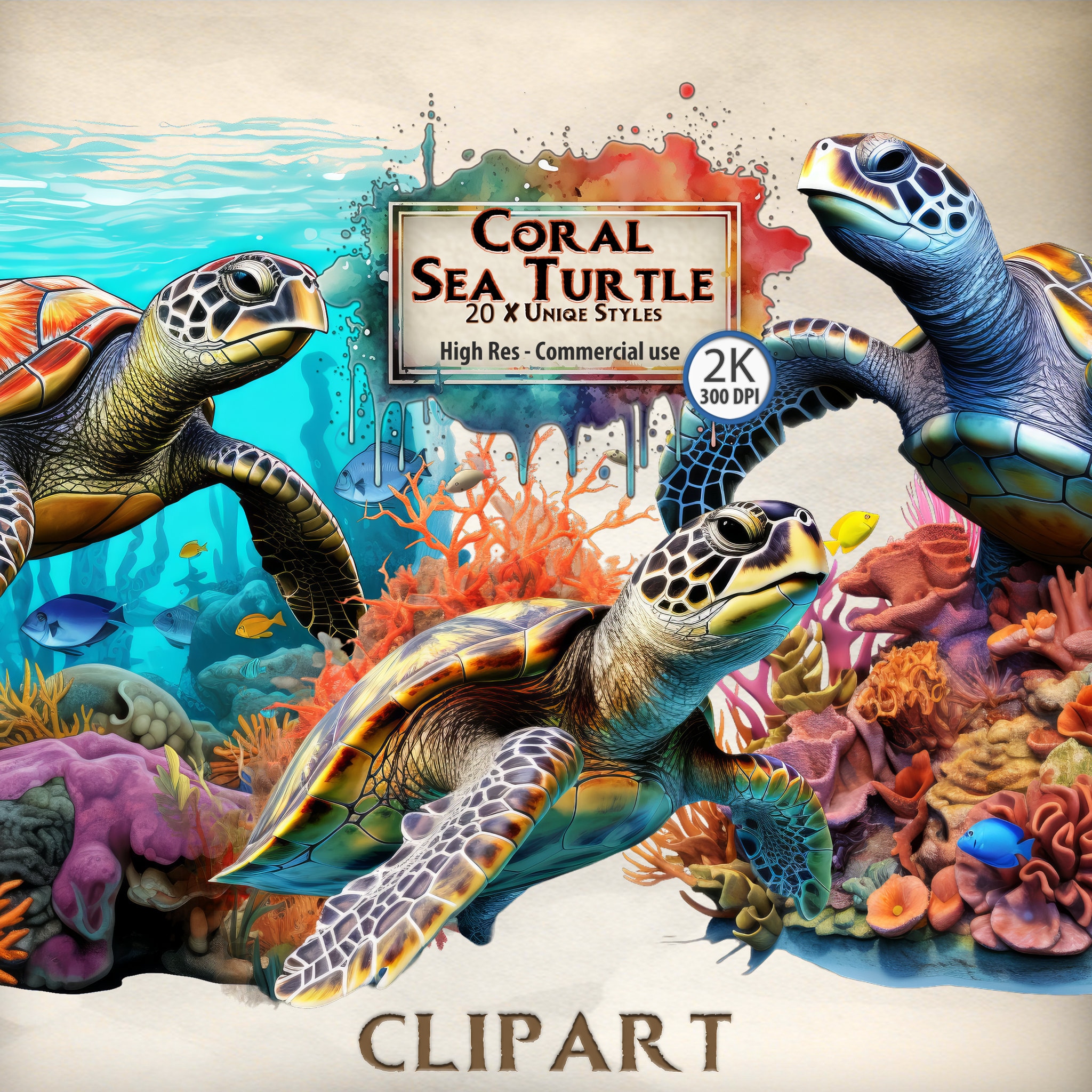 Turtle Clipart Coral Reef Turtle Graphics Ocean Life Marine Sea Creatures Under the Sea Images Tropical Animals That Live Underwater